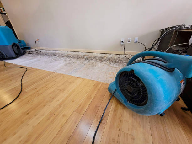 Professional Flood Damage Cleanup technician working in Viola, IL